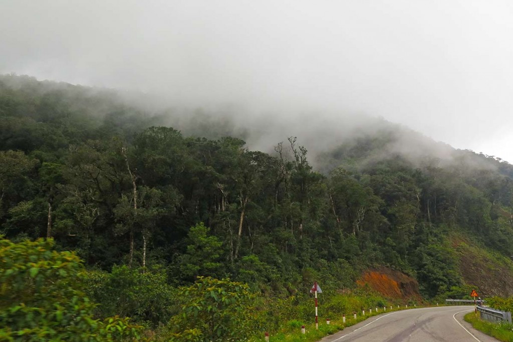 FlipFlopGlobetrotters.com - Blog Easy Riders Vietnam