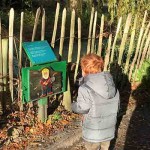 Free things to do in Haarlem with kids Free things to do in Haarlem with kids