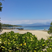 FlipFlopGlobetrotters.com- Happy Gecko Dive Resort Bunaken