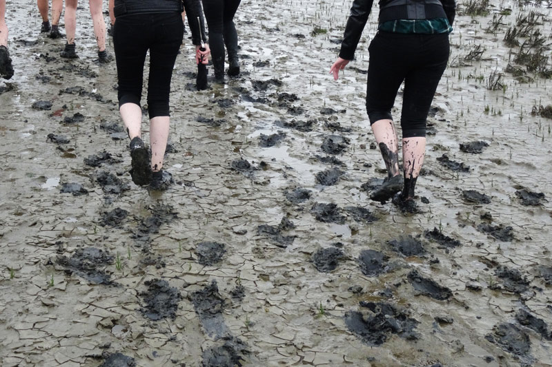 FlipFlopGlobetrotters.com - Things to do at the Wadden with kids - walking mudflats
