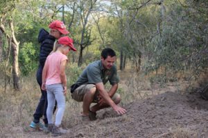 Ultimate family travel blog list - Becoming You