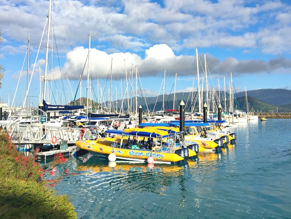 Budget Travel Talk - Abell Point Marine Airlie Beach