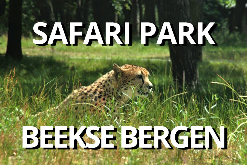 FlipFlopGlobetrotters - review of Safari Park Beekse Bergen Hilvarenbeek Netherlands
