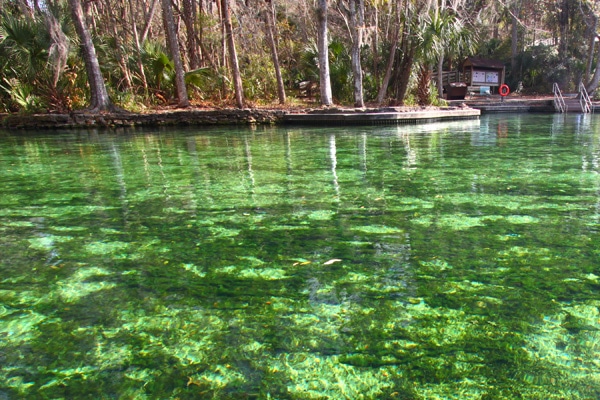 FlipFlopGlobetrotters.com - Best daytrips from Orlando - wekiwa springs
