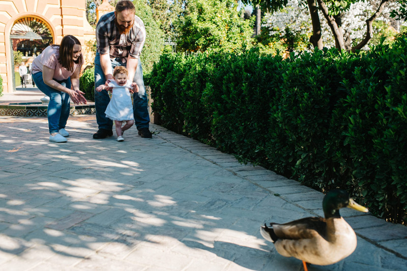 First steps in Seville, Spain