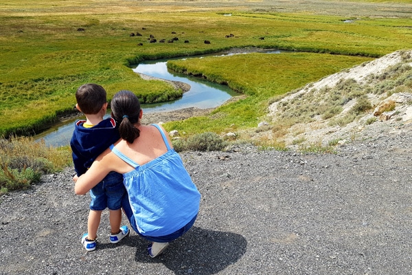 Yellowstone NP with kids